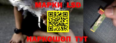 прущий лед Кингисепп