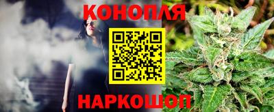 гидра Камышлов