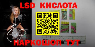 гидра Камышлов