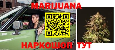 индика Кинель