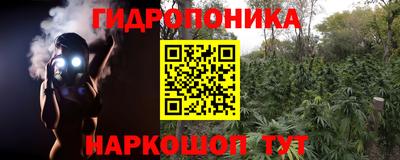 дурь Кимры