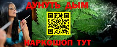 индика Кинель