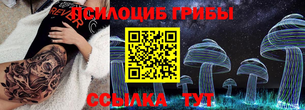 Галлюциногенные грибы Psilocybine cubensis  Вход с VPN  наркота  Кубинка 