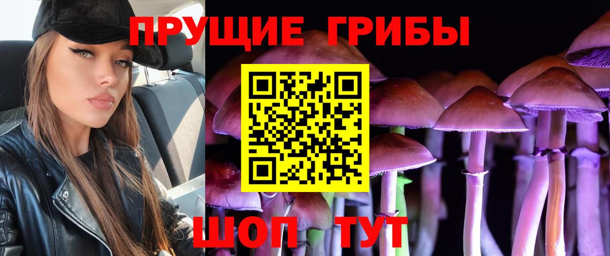 Псилоцибиновые грибы прущие грибы Кубинка